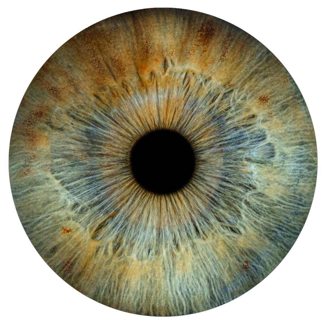 Eye-Care-close-up-macro-photo-of-eye-for-why-us Eye Care close up macro photo of eye