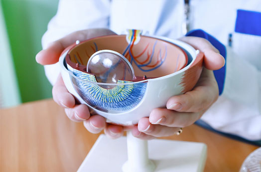 Benefits of Standard & Lifestyle Lenses